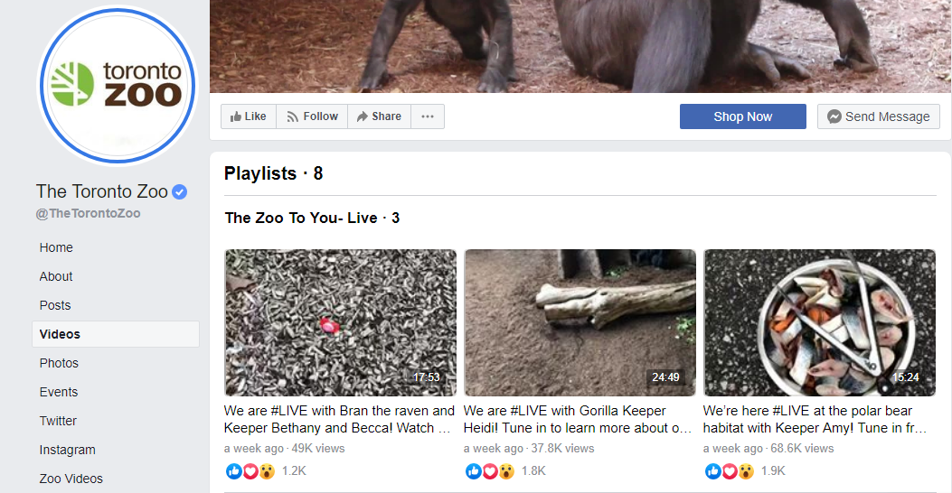 Toronto Zoo Facebook page