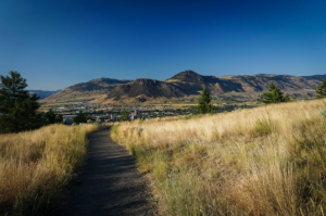 A concrete trail leads to a mountain, with dry grass on either side of the trail